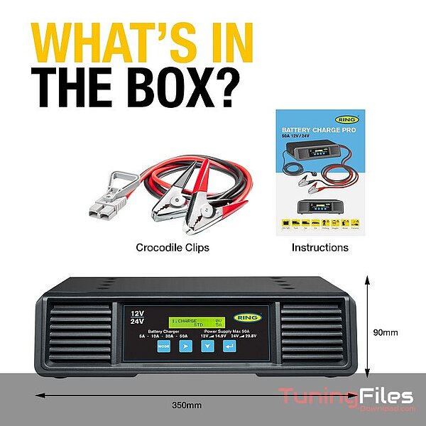 Ring Batterie Ladegerät